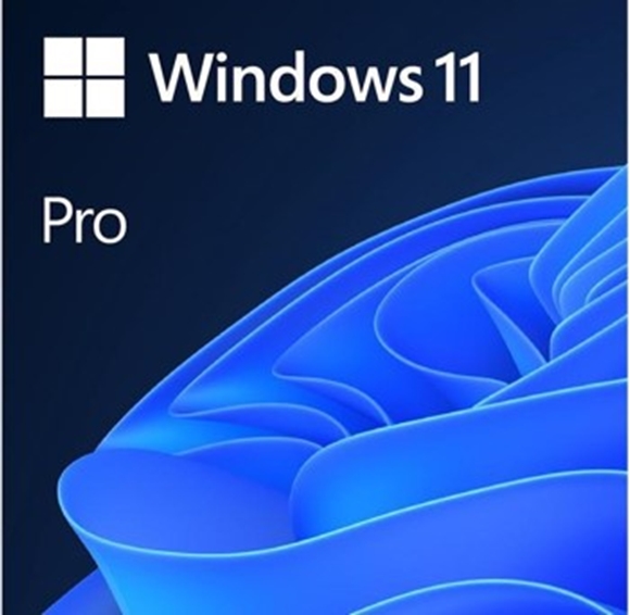 Picture of Windows 11 Professional